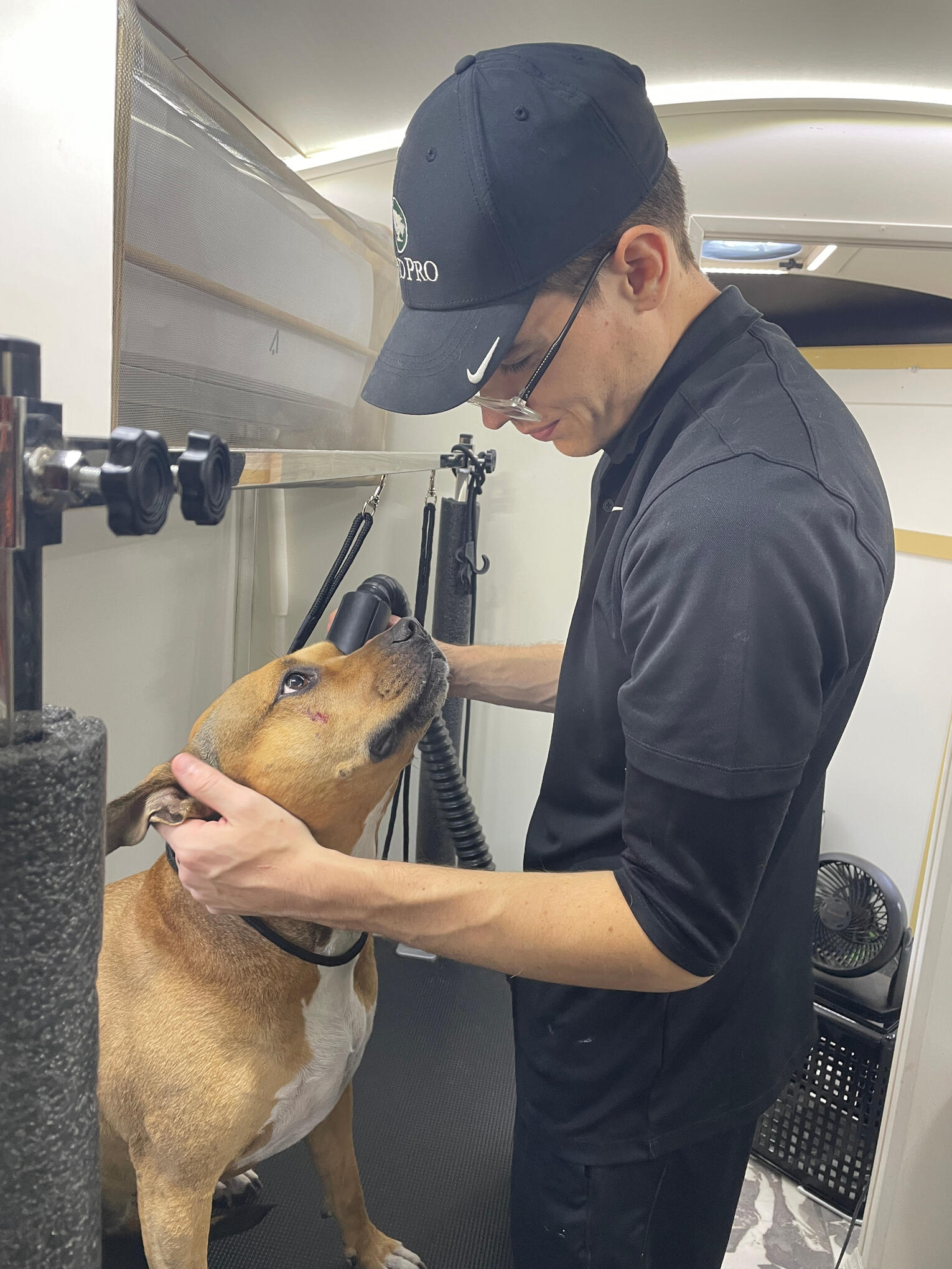 Disclaimer: NO Animals are EVER Harmed during Spa Time. Saftey is our #1 Priority! Ouggie (Pitbull) Cut her snot during playtime at home:( Barking Paws Mobile Dog Spa uses Organic products. Helping quicken the healing process with sweet Ouggies Injury.