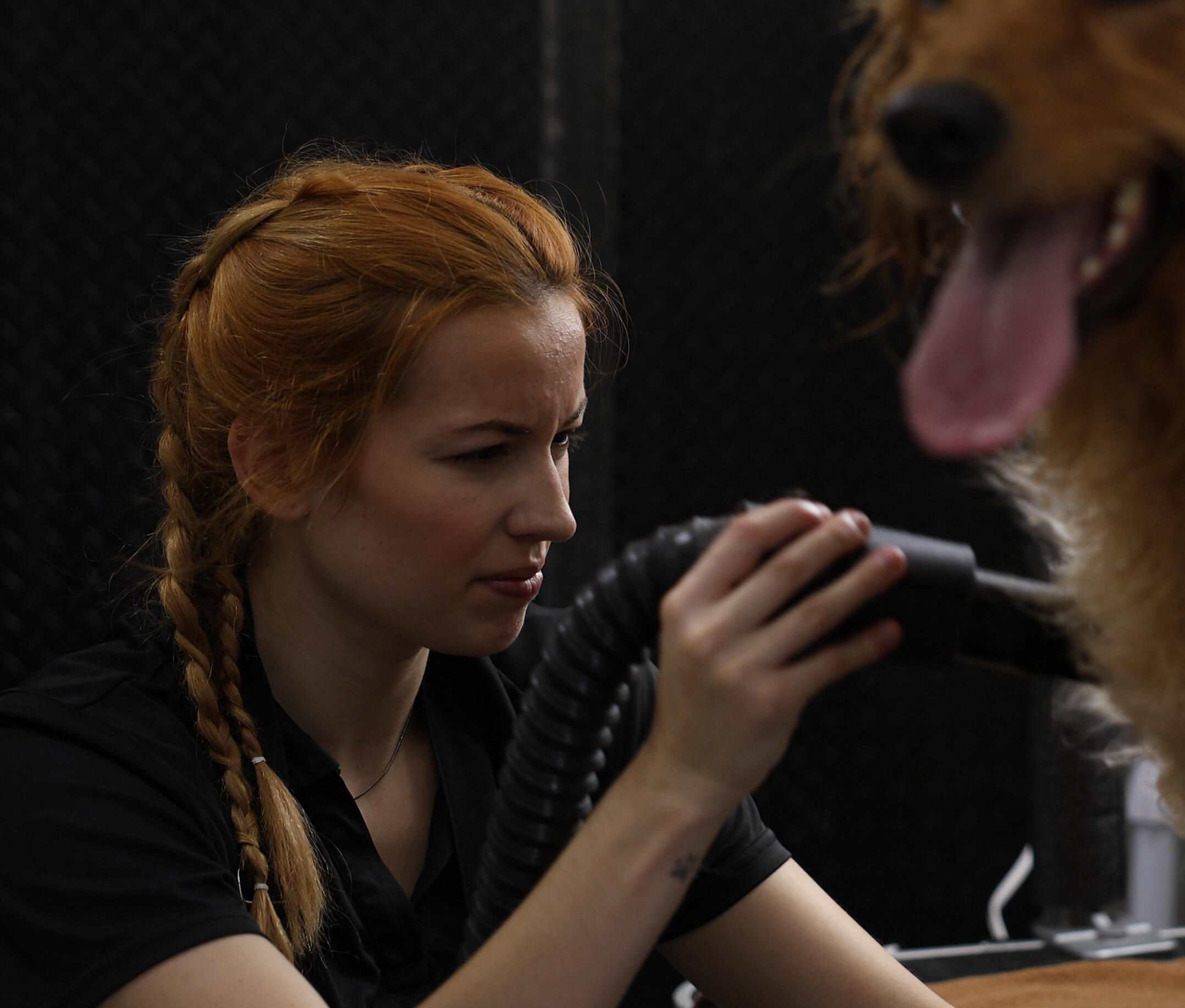 Barking Paws Head Groomer